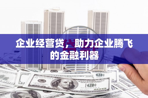 安定企业经营贷，助力企业腾飞的金融利器