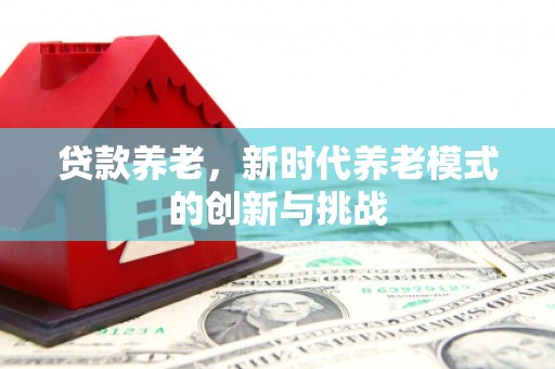 安定贷款养老，新时代养老模式的创新与挑战