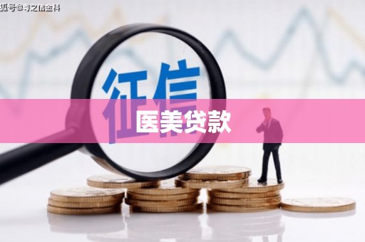 安定医美贷款