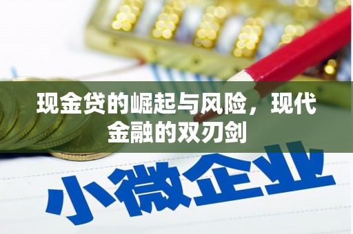 安定现金贷的崛起与风险，现代金融的双刃剑