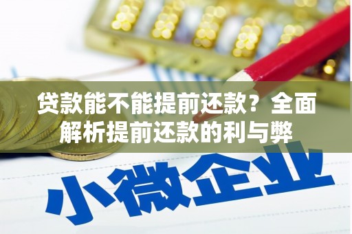 安定贷款能不能提前还款？全面解析提前还款的利与弊