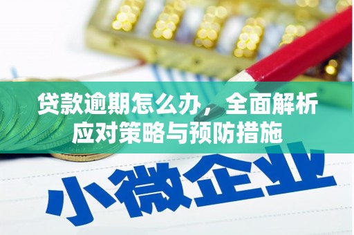 安定贷款逾期怎么办，全面解析应对策略与预防措施