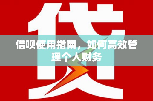 安定借呗使用指南，如何高效管理个人财务