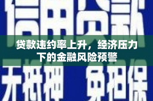 安定贷款违约率上升，经济压力下的金融风险预警