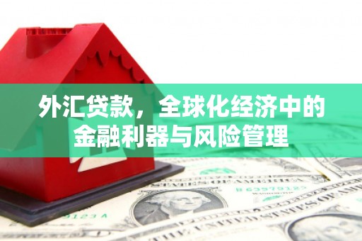 安定外汇贷款，全球化经济中的金融利器与风险管理