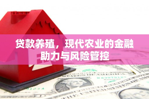安定贷款养殖，现代农业的金融助力与风险管控