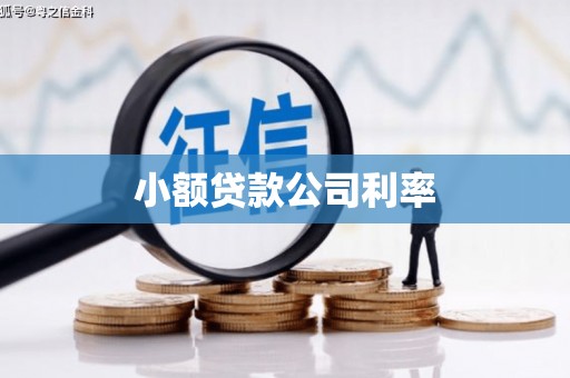 安定小额贷款公司利率