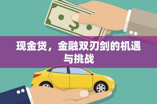 安定现金贷，金融双刃剑的机遇与挑战