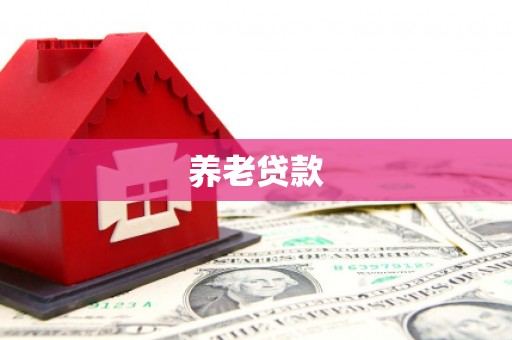 安定养老贷款