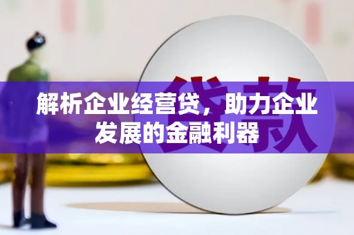 安定解析企业经营贷，助力企业发展的金融利器