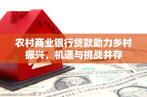 安定农村商业银行贷款助力乡村振兴，机遇与挑战并存