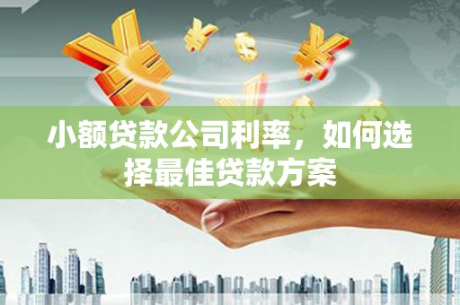 安定小额贷款公司利率，如何选择最佳贷款方案