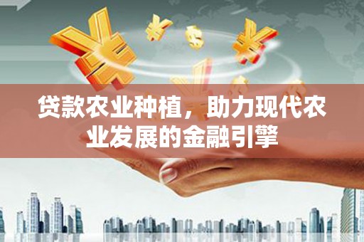安定贷款农业种植，助力现代农业发展的金融引擎