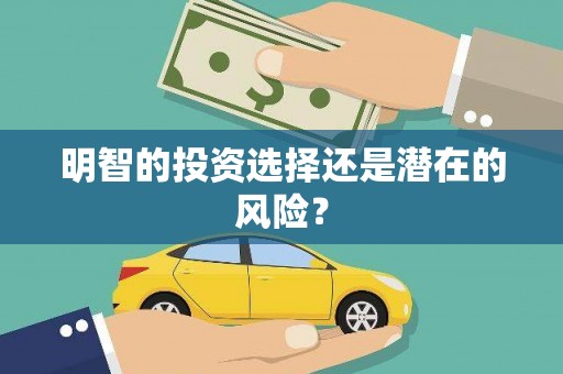 安定明智的投资选择还是潜在的风险？