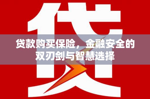 安定贷款购买保险，金融安全的双刃剑与智慧选择