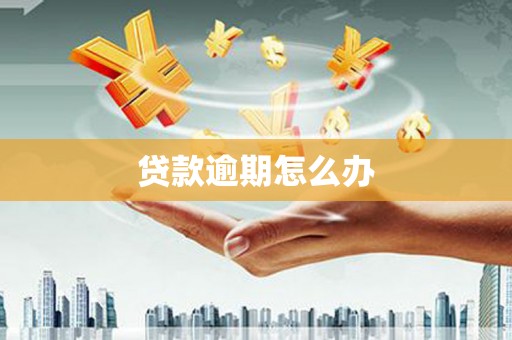 安定贷款逾期怎么办