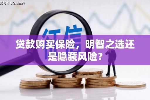 安定贷款购买保险，明智之选还是隐藏风险？