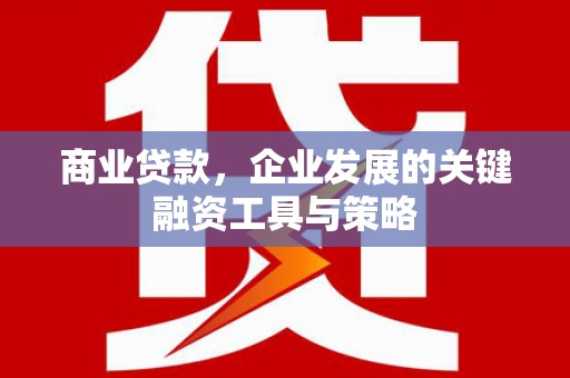 安定商业贷款，企业发展的关键融资工具与策略