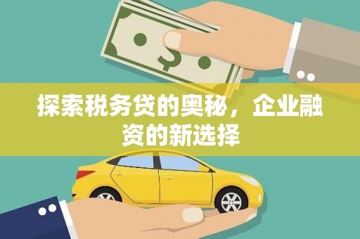 安定探索税务贷的奥秘，企业融资的新选择
