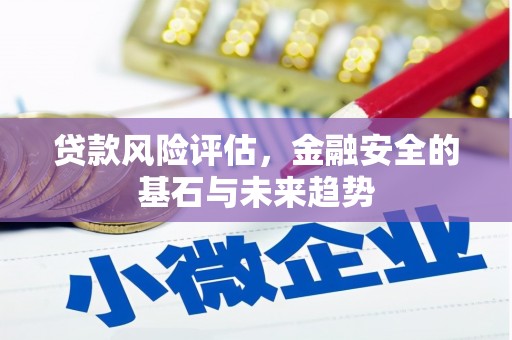 安定贷款风险评估，金融安全的基石与未来趋势