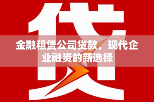 安定金融租赁公司贷款，现代企业融资的新选择