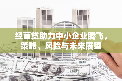 安定经营贷助力中小企业腾飞，策略、风险与未来展望