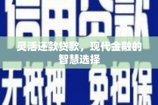 安定灵活还款贷款，现代金融的智慧选择