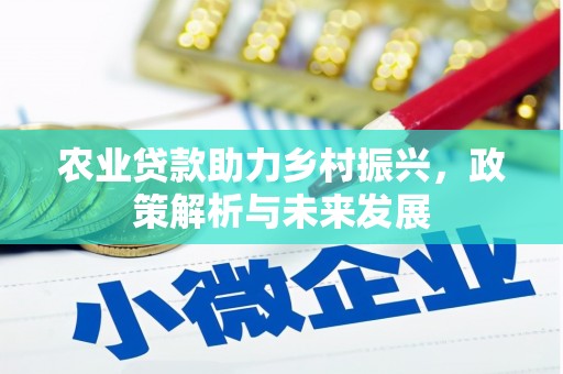 安定农业贷款助力乡村振兴，政策解析与未来发展