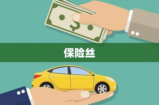 安定保险丝