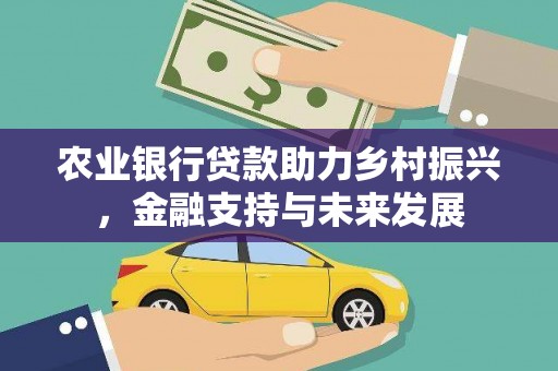 安定农业银行贷款助力乡村振兴，金融支持与未来发展