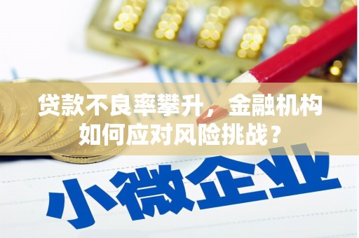 安定贷款不良率攀升，金融机构如何应对风险挑战？
