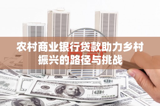 安定农村商业银行贷款助力乡村振兴的路径与挑战