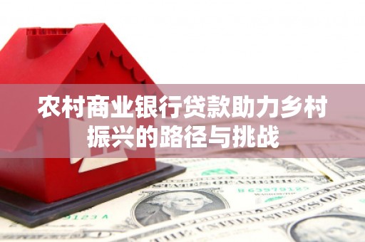 安定农村商业银行贷款助力乡村振兴的路径与挑战