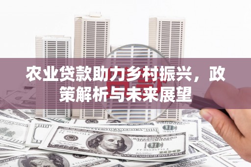 安定农业贷款助力乡村振兴，政策解析与未来展望