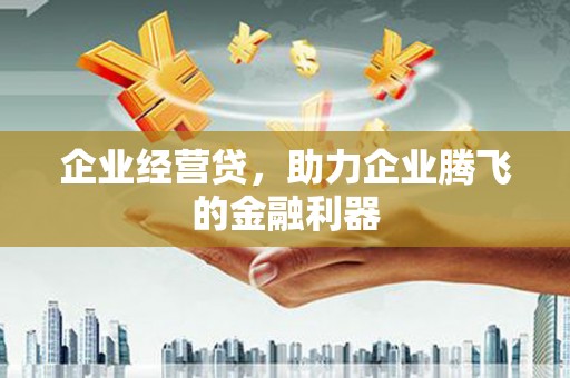 安定企业经营贷，助力企业腾飞的金融利器