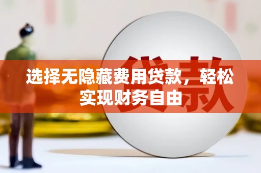 安定选择无隐藏费用贷款，轻松实现财务自由