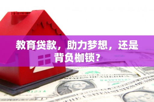 安定教育贷款，助力梦想，还是背负枷锁？