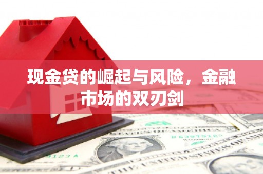 安定现金贷的崛起与风险，金融市场的双刃剑