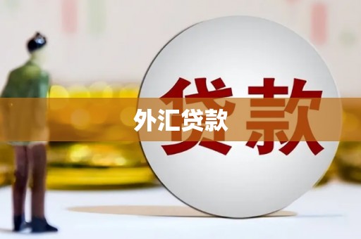 安定外汇贷款