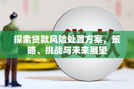 安定探索贷款风险处置方案，策略、挑战与未来展望
