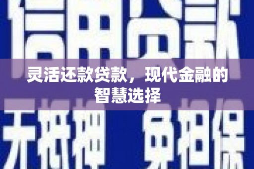 安定灵活还款贷款，现代金融的智慧选择