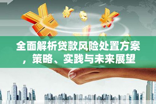安定全面解析贷款风险处置方案，策略、实践与未来展望
