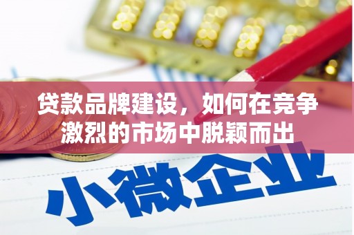 安定贷款品牌建设，如何在竞争激烈的市场中脱颖而出