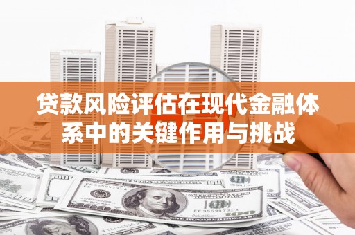 安定贷款风险评估在现代金融体系中的关键作用与挑战