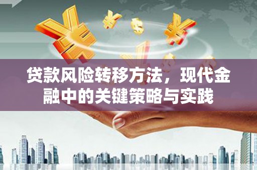 安定贷款风险转移方法，现代金融中的关键策略与实践