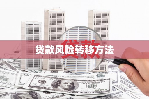 安定贷款风险转移方法