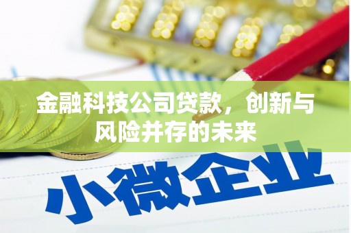 安定金融科技公司贷款，创新与风险并存的未来