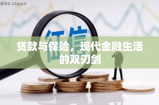 安定贷款与保险，现代金融生活的双刃剑