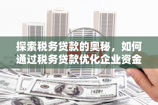 安定探索税务贷款的奥秘，如何通过税务贷款优化企业资金流
