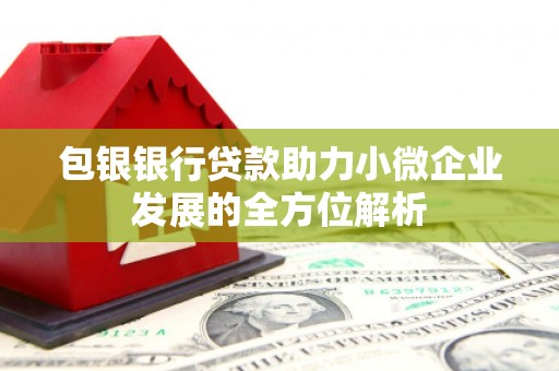 安定包银银行贷款助力小微企业发展的全方位解析 安定包银银行贷款助力小微企业发展的全方位解析